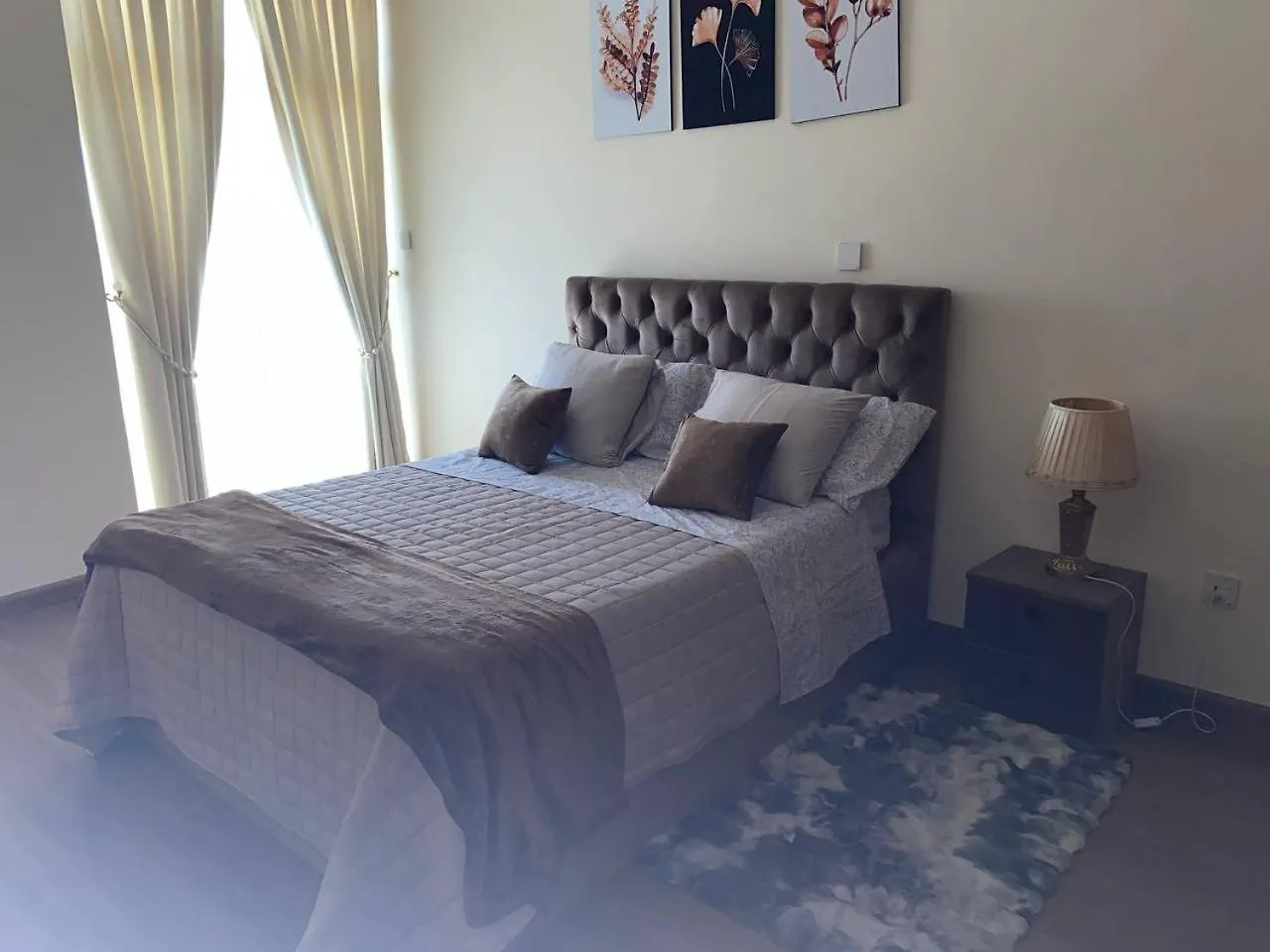 Mimo Olympia 3 Bedroom Furnished Apartments Adís Abeba 0*,  Etiopía
